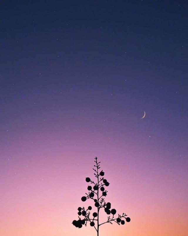 超唯美的经典人生感悟说说，句句现实通透！