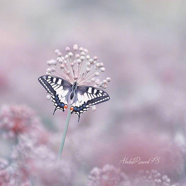 十二月最干净的早安说说，总有一句入人心坎！