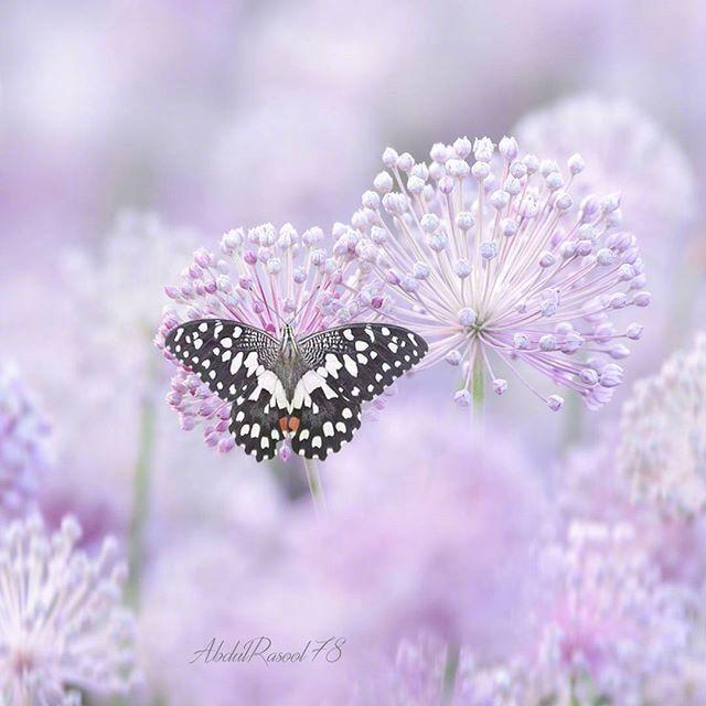 十二月最干净的早安说说，总有一句入人心坎！