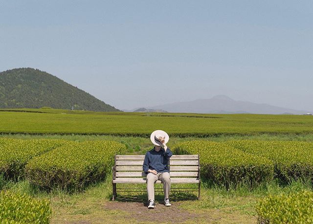 十二月很现实的人生格言，发朋友圈引人深思！