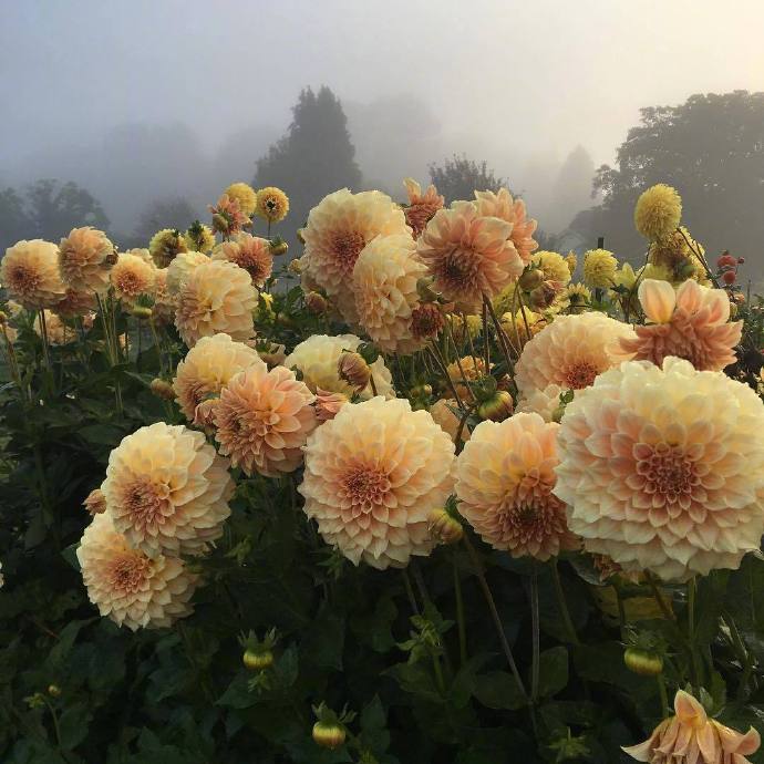 最打动人心的哲理句子，发朋友圈引人共鸣！