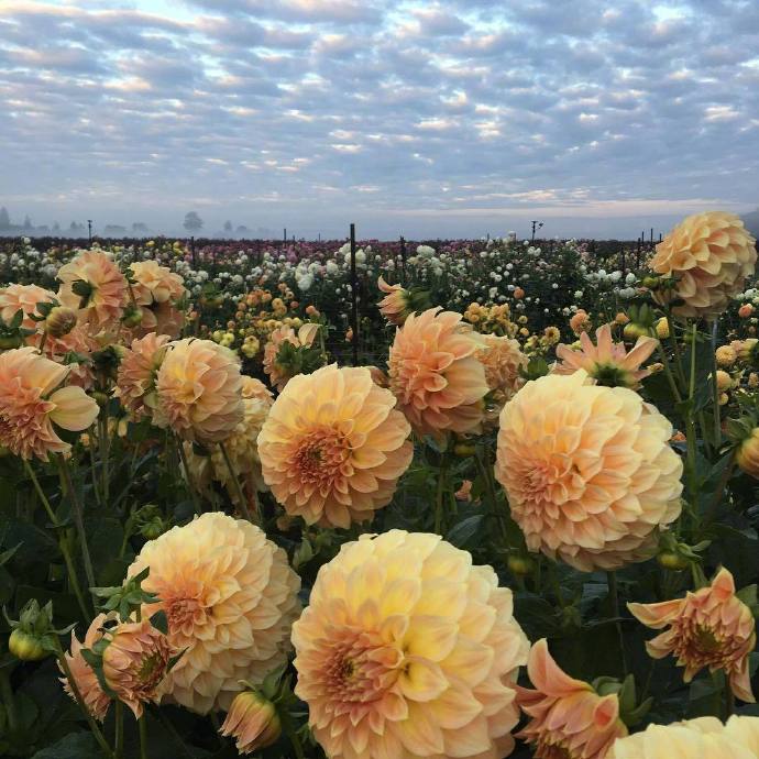 最打动人心的哲理句子，发朋友圈引人共鸣！