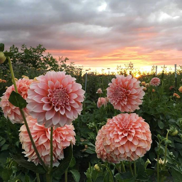 最打动人心的哲理句子，发朋友圈引人共鸣！