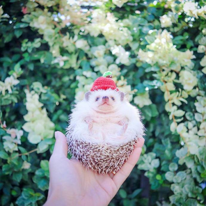 2021早上好的一句话，经典入心，百看不厌！