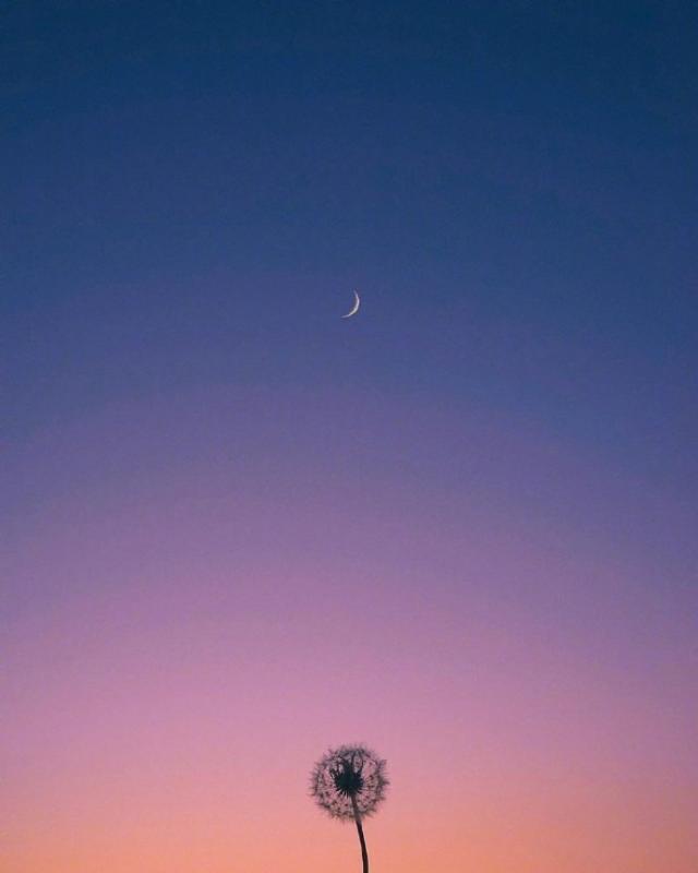 现实透彻的人生格言，句句经典，发人深省！