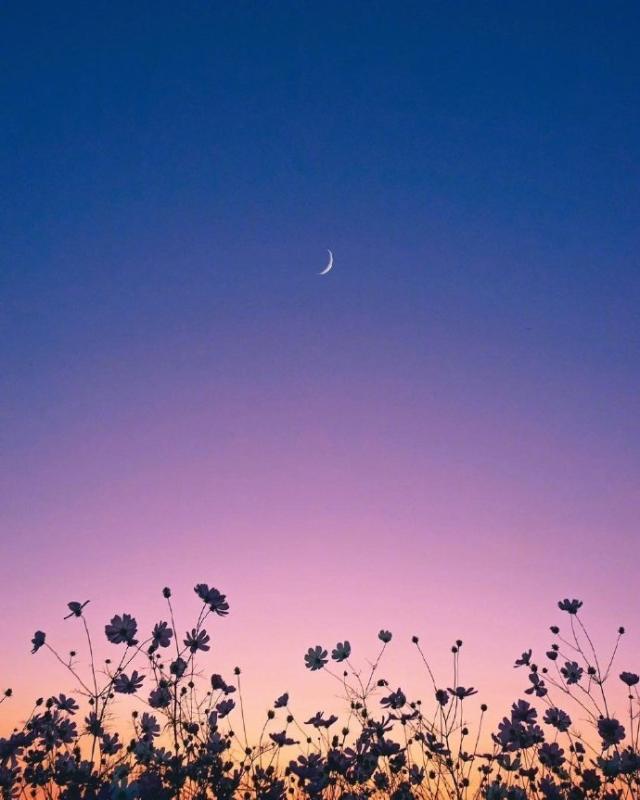 现实透彻的人生格言，句句经典，发人深省！