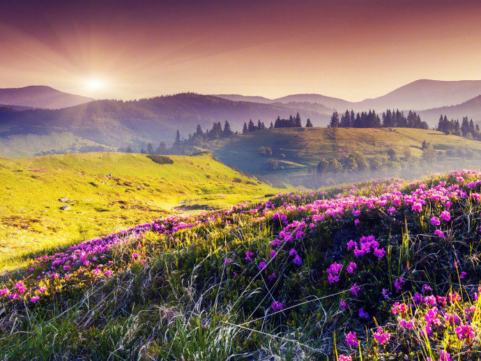 最有文采的人生哲理说说，句句现实通透！