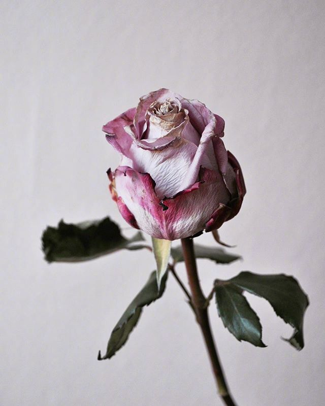 真情流露的浪漫情话，特别甜蜜，一句顶十句！