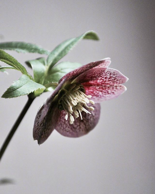 真情流露的浪漫情话，特别甜蜜，一句顶十句！