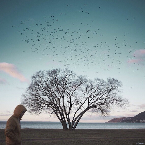 优美有内涵的哲理说说，句句入骨，过目不忘！