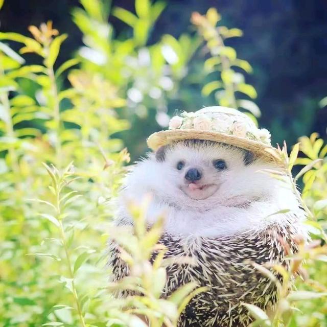 11月最暖心的早安说说，有感而发，说到心坎！