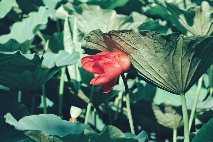 适合发朋友圈的感慨文案，看完让人醍醐灌顶！
