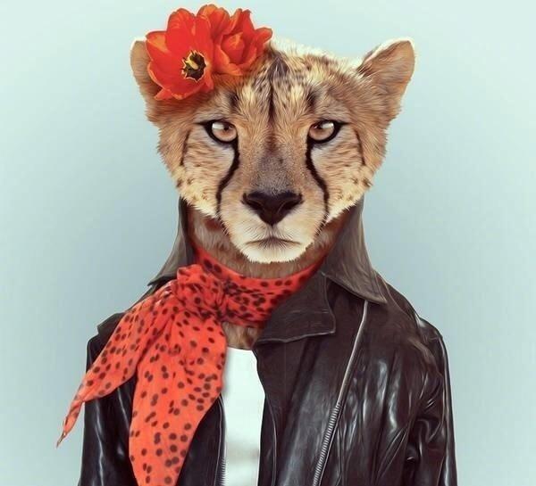 一天一句早安暖心话，发朋友圈太合适了！