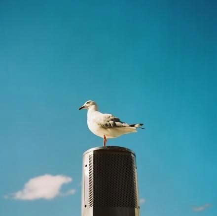 最触动人心的人生感悟，字字千金，富含哲理！