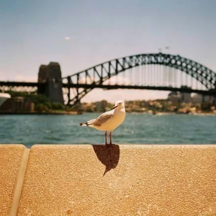 最触动人心的人生感悟，字字千金，富含哲理！