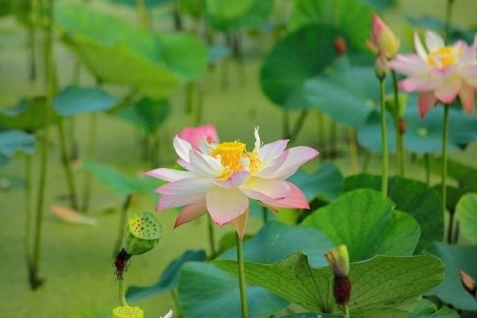 醍醐灌顶的人生格言，句句入骨，过目不忘！