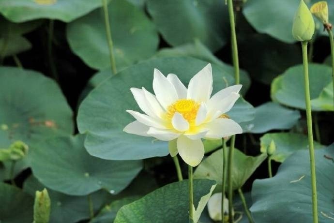 醍醐灌顶的人生格言，句句入骨，过目不忘！