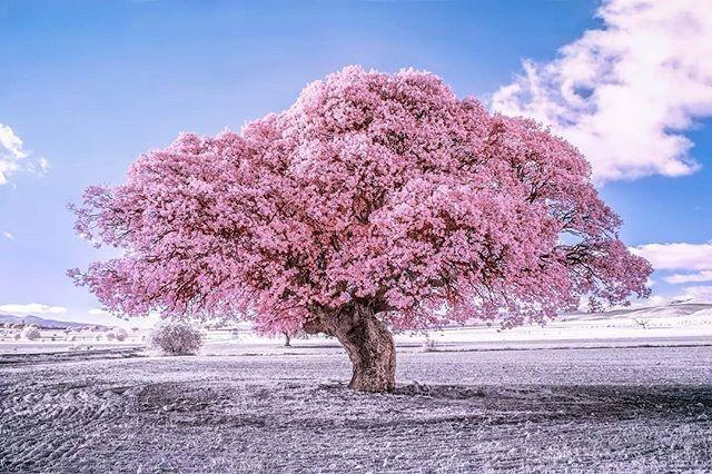 积极乐观的早安心语，简短精致，句句入心！