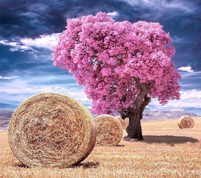 积极乐观的早安心语，简短精致，句句入心！