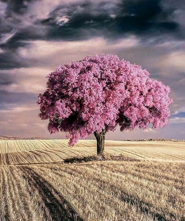 积极乐观的早安心语，简短精致，句句入心！