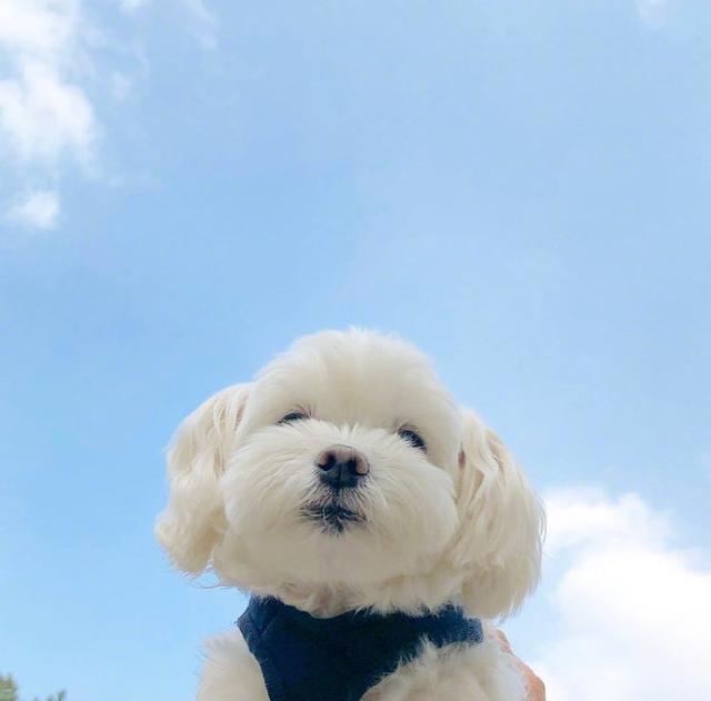 八月很火很走心的早安说说，拿去发朋友圈！