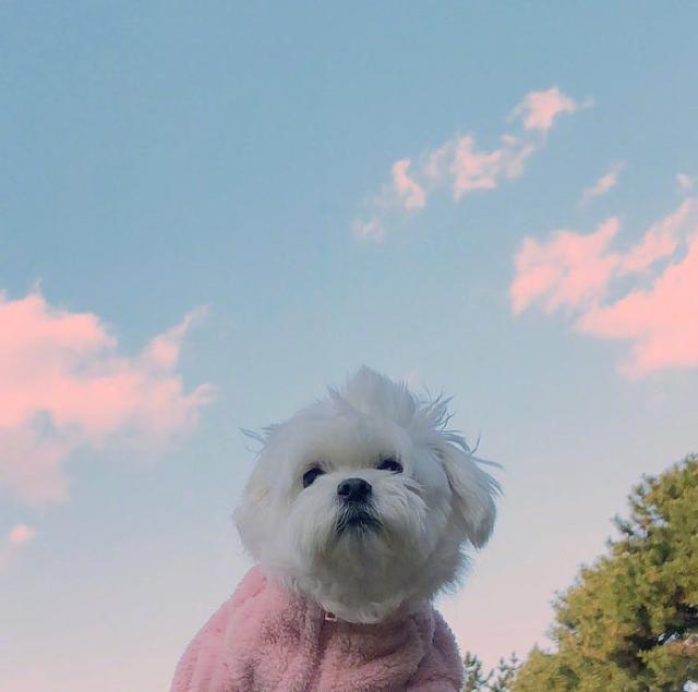 八月很火很走心的早安说说，拿去发朋友圈！