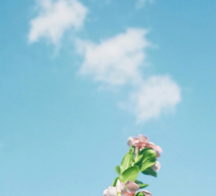 早安简单一句话，发朋友圈人人点赞！