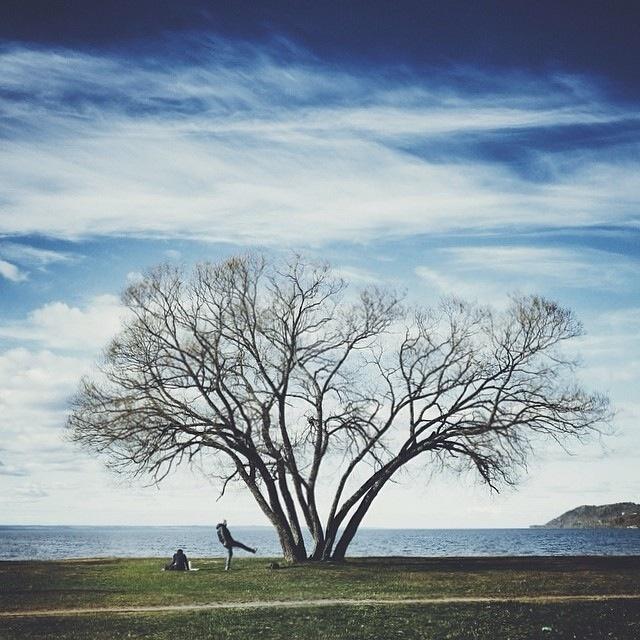 正确的人生格局短句，发朋友圈引人共鸣！