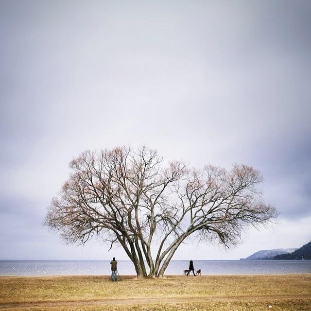 正确的人生格局短句，发朋友圈引人共鸣！