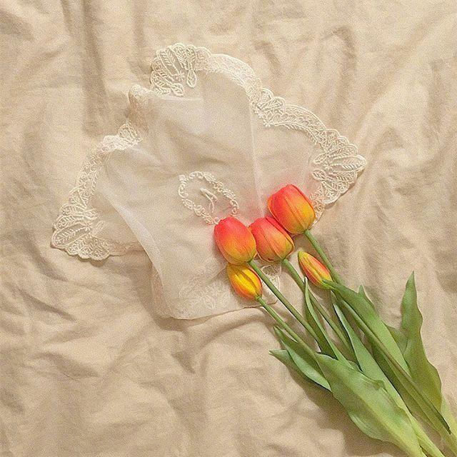 朋友圈晒早安的经典美句，越看越喜欢！