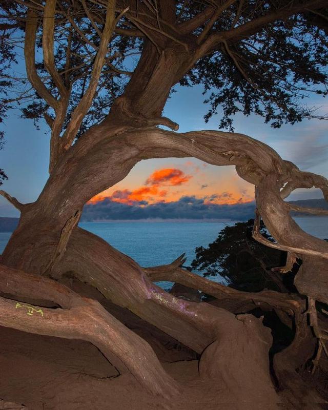 释怀和放下的24句话，经典至极，大彻大悟！