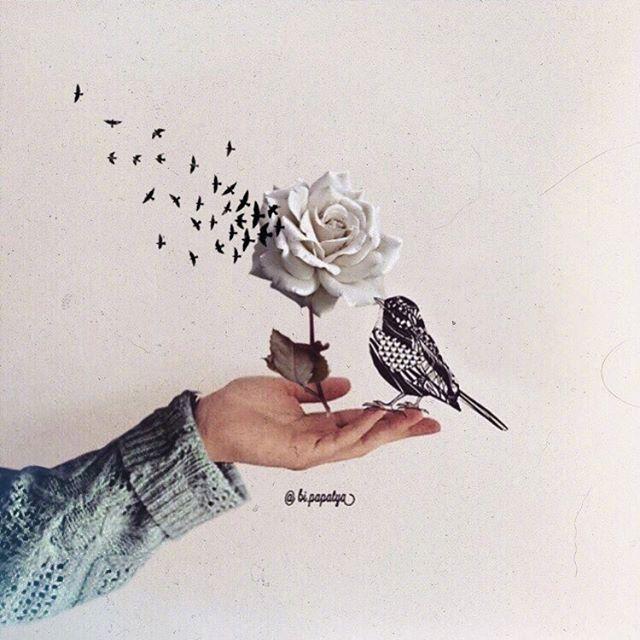 简短低调的个性签名，精致走心，人气超高！