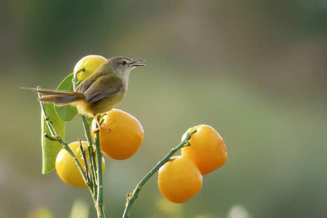 适合说早安的精美句子，温暖治愈，直抵心灵！