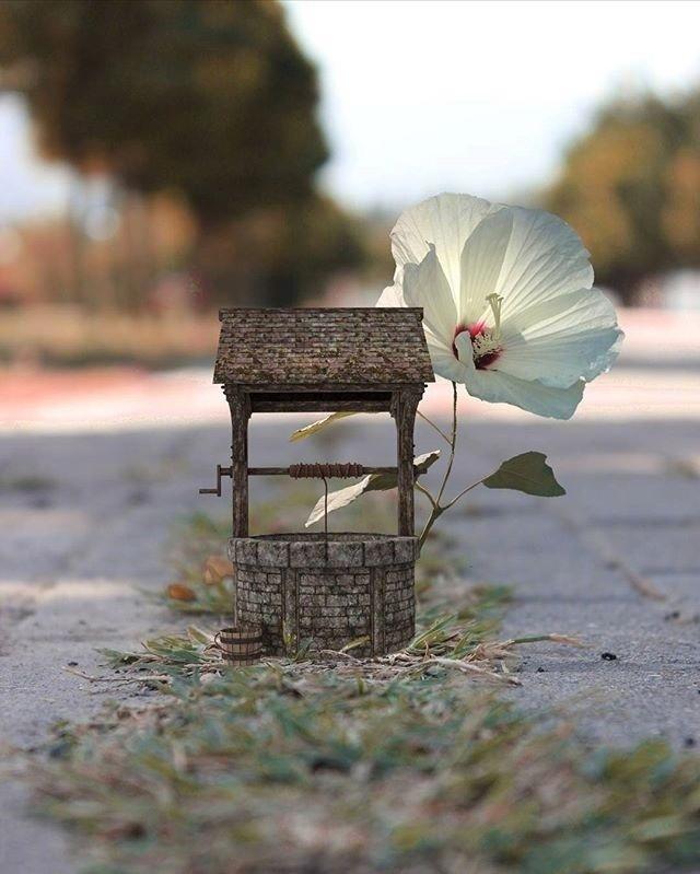 2021致自己的心灵鸡汤，句句精辟，发人深省！