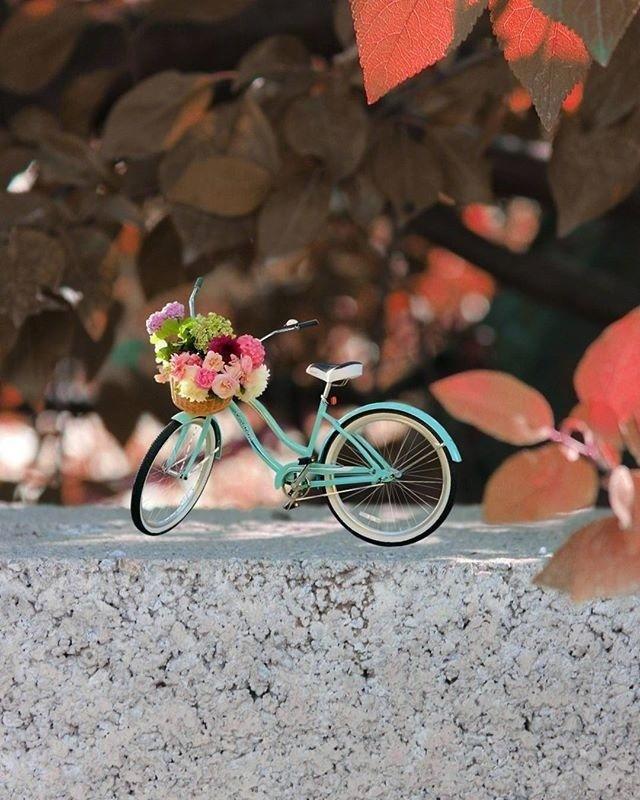 2021致自己的心灵鸡汤，句句精辟，发人深省！