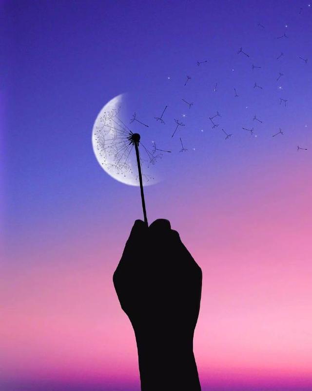 致自己最走心的早安语录，让人一见倾心！