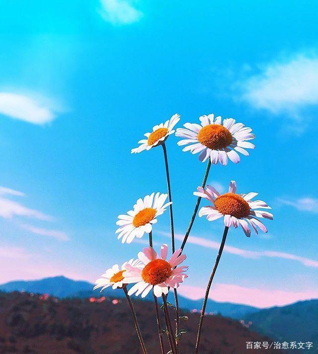 最潮最火的早安说说，经典入心，百看不厌！