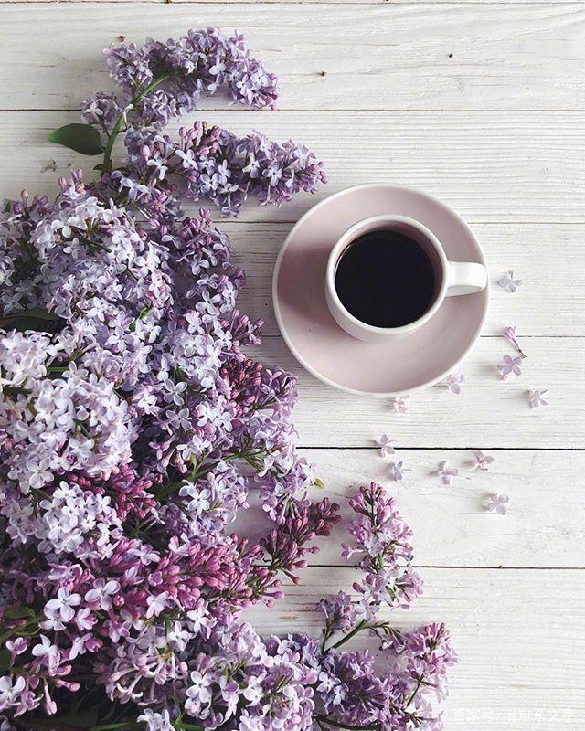 早上好的精简语录，元气满满，愿你心向阳光！