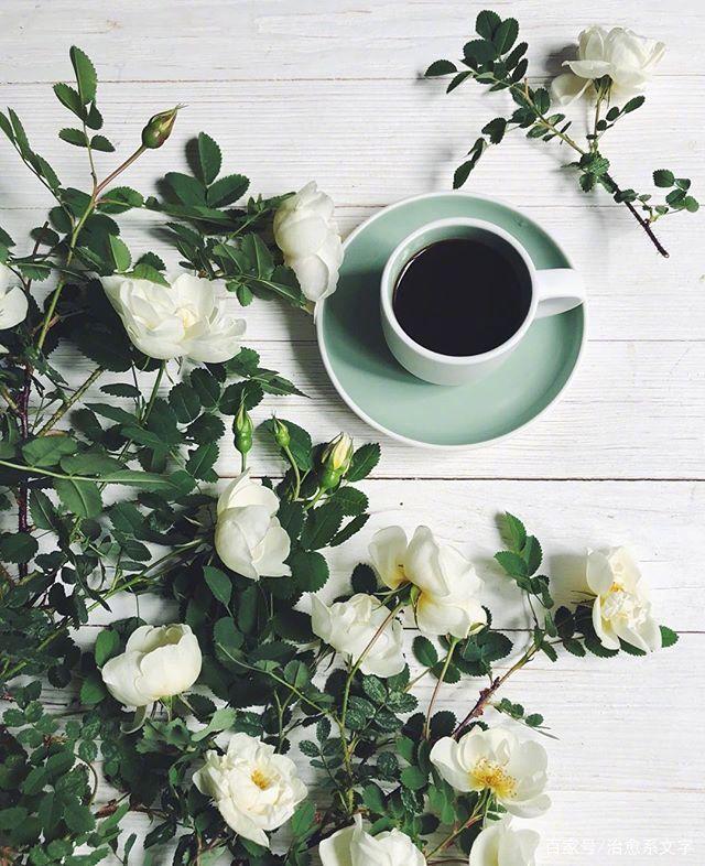 早上好的精简语录，元气满满，愿你心向阳光！