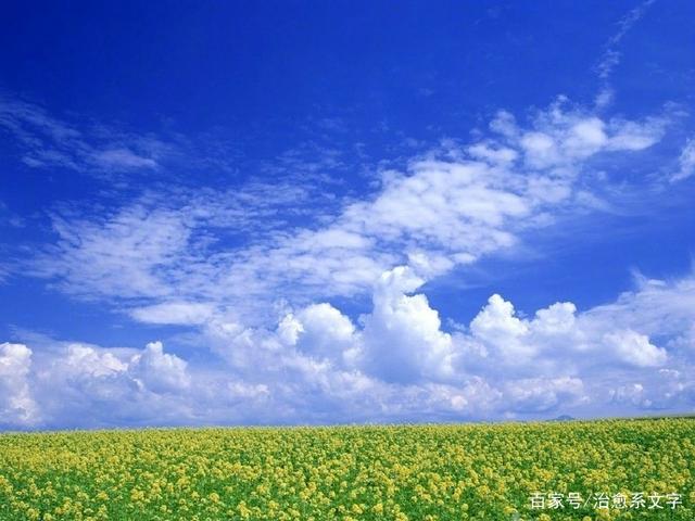 自我解压的人生感悟，句句穿心，话糙理不糙！