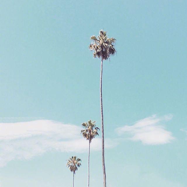 2021微信早安潮流语录，精致唯美，触动心灵！