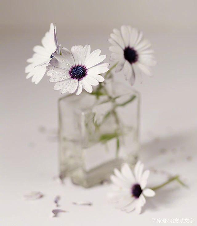 微信朋友圈发晚安的说说，让你一见倾心！