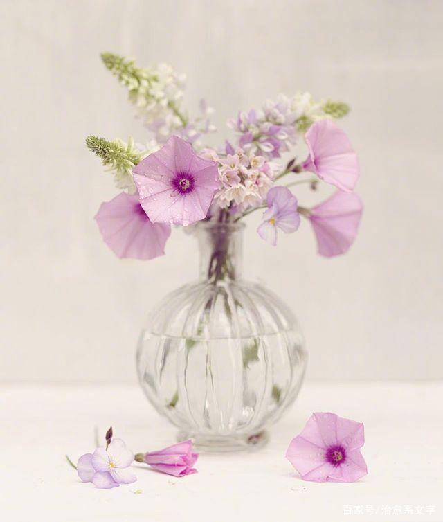 微信朋友圈发晚安的说说,让你一见倾心!