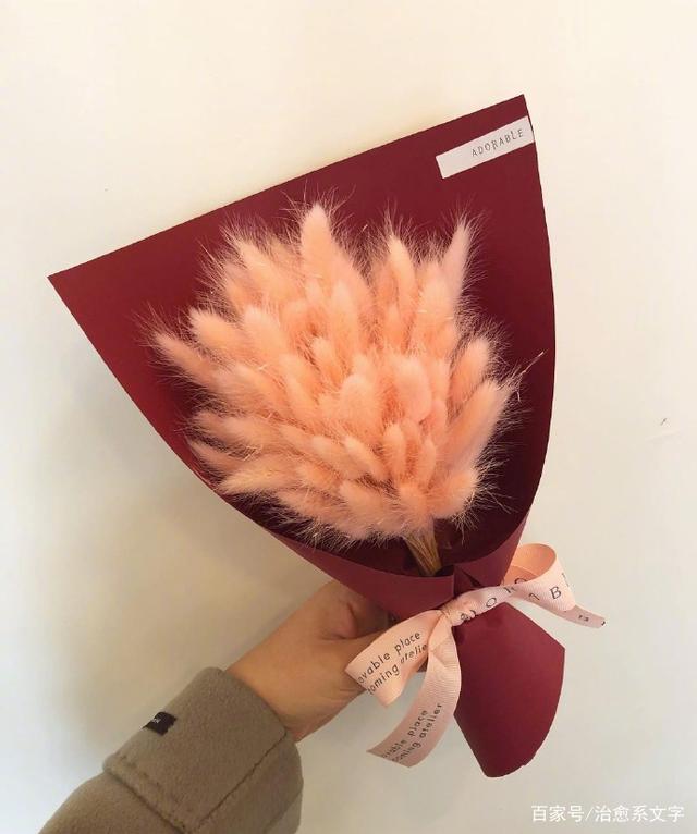 看淡一切的现实语录,字字千金,富含哲理!