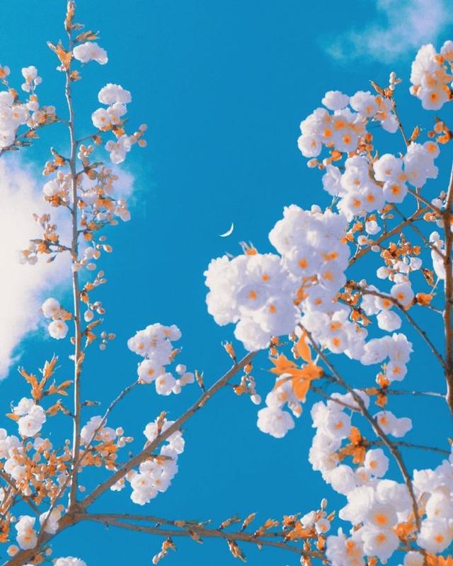 2021最美早安文案，精辟走心，百看不厌！