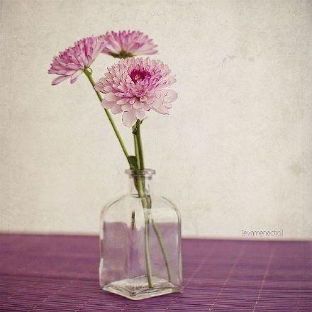 现实生活感悟经典句子，字字千金，富含哲理！