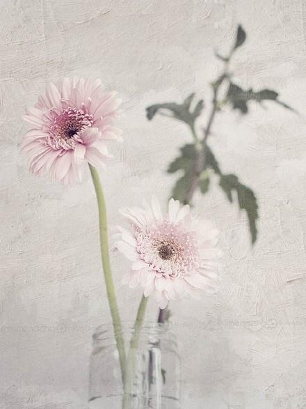 现实生活感悟经典句子，字字千金，富含哲理！