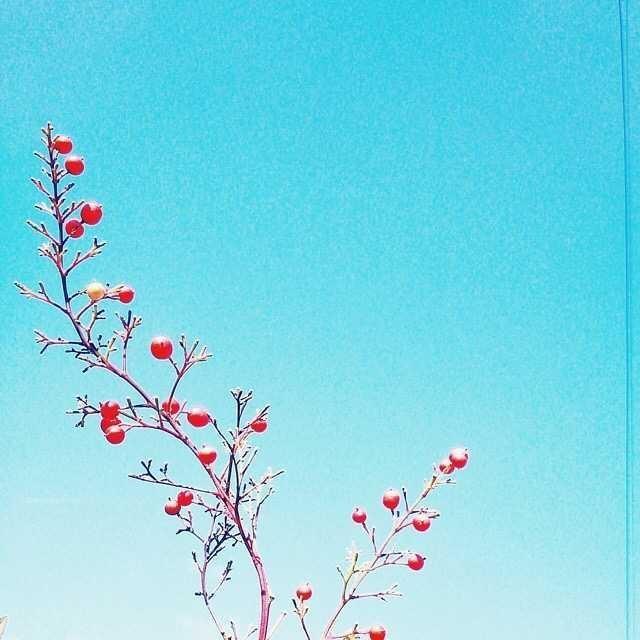 简单有内涵的早安说说，选一句发朋友圈！