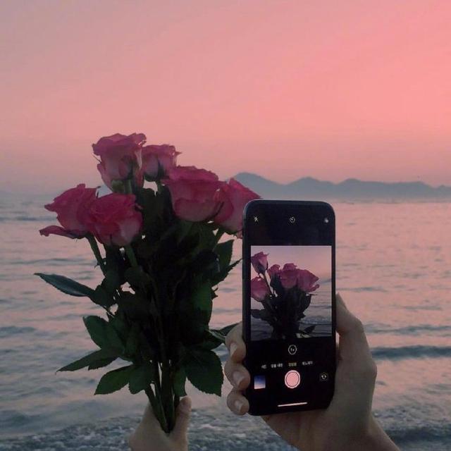 写给自己的人生哲理语录，每日一读，豁达一生！