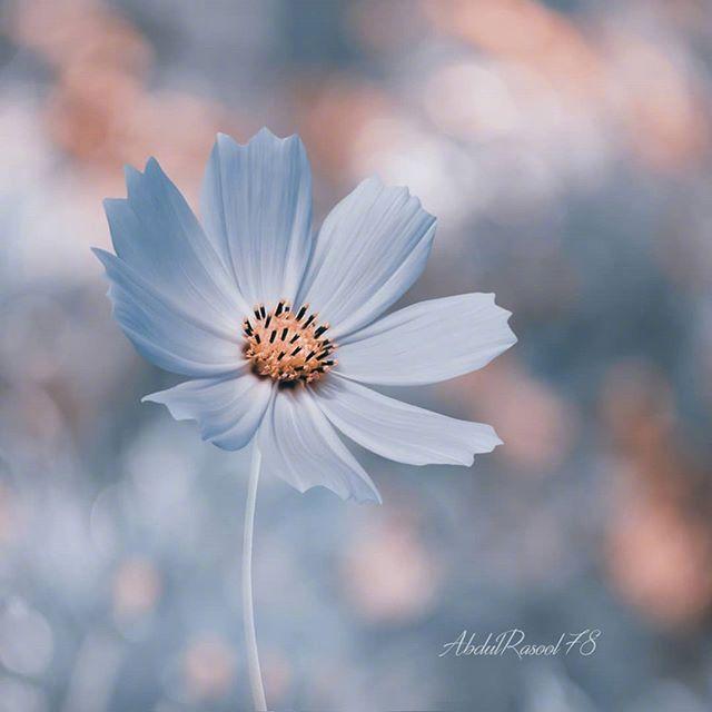 适合写给自己的人生格言，句句穿透人心！